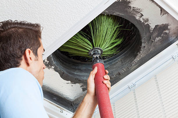 Best Air Duct Mold Removal  in Lden, MA